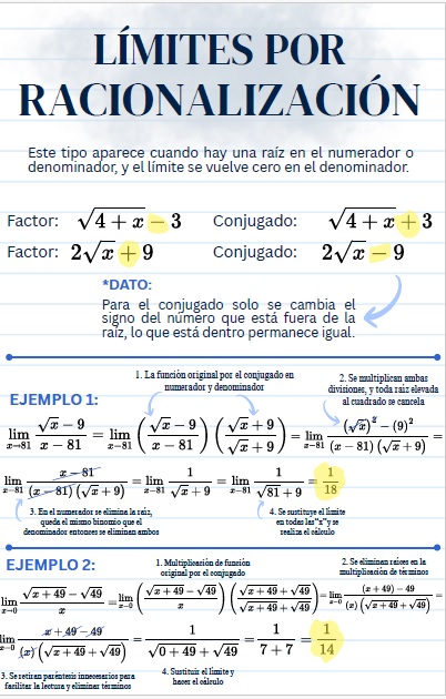 Vista previa del PDF